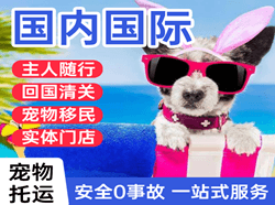 广州航空运输国际宠物托运 【国
